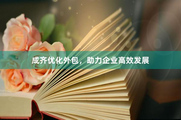 成齐优化外包，助力企业高效发展