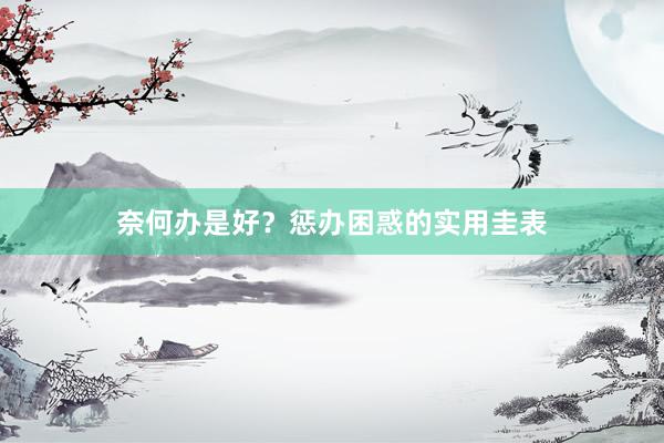 奈何办是好？惩办困惑的实用圭表